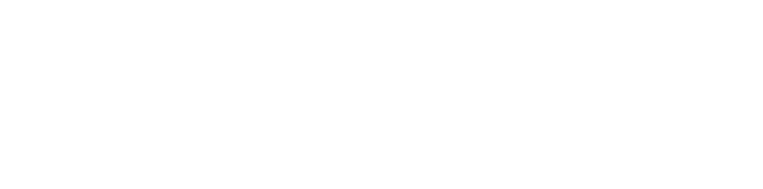 Rise Partners